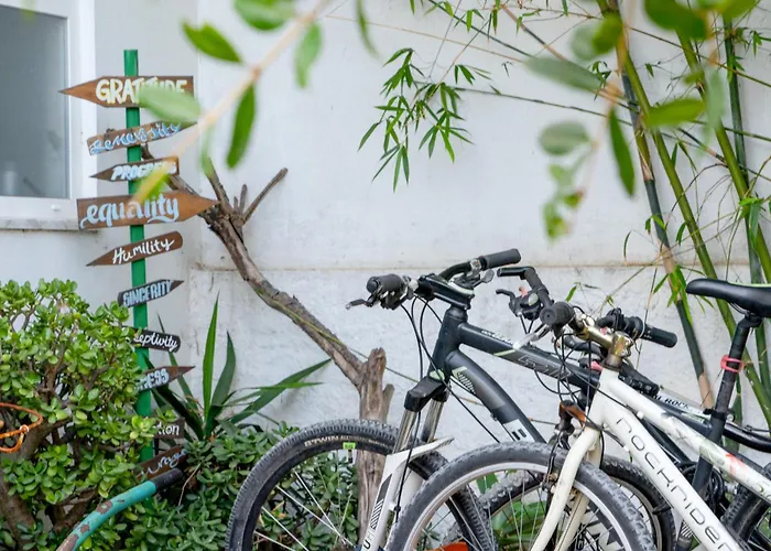 Albergue: Natural Mystic Hostel